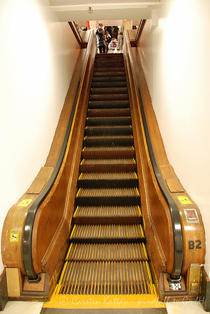 20101207_9013