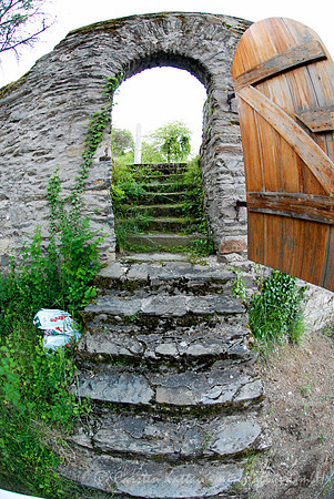 20100605_4064