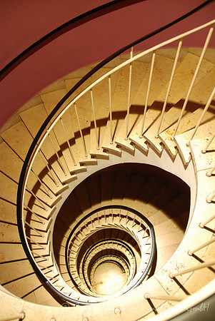 20110122_5879