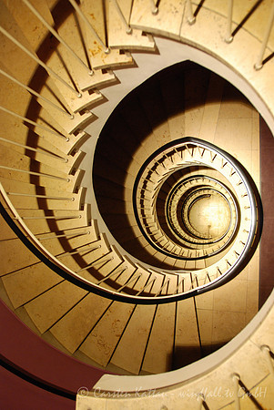 20110122_5878